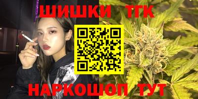 МДПВ Будённовск