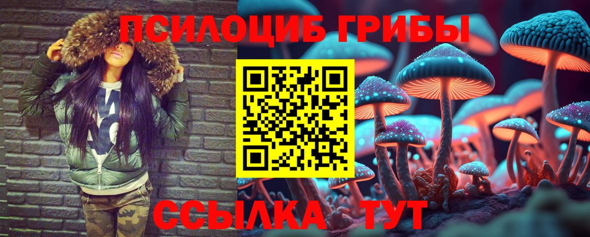 Псилоцибиновые грибы мухоморы Биробиджан